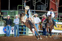 Saddle Bronc